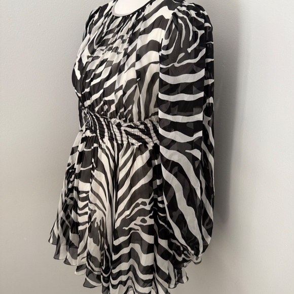 Dolce & Gabbana Zebra Print Silk Chiffon Mini Dress Evening Cocktail Designer - Picture 6 of 12